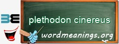 WordMeaning blackboard for plethodon cinereus